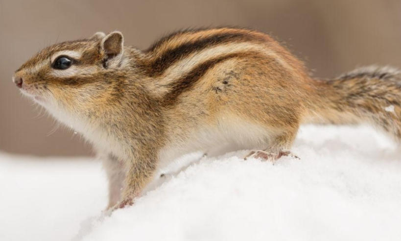 江苏立智源业商贸有限公司轮播图2