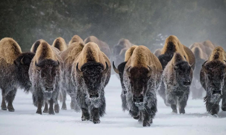 江苏立智源业商贸有限公司轮播图5